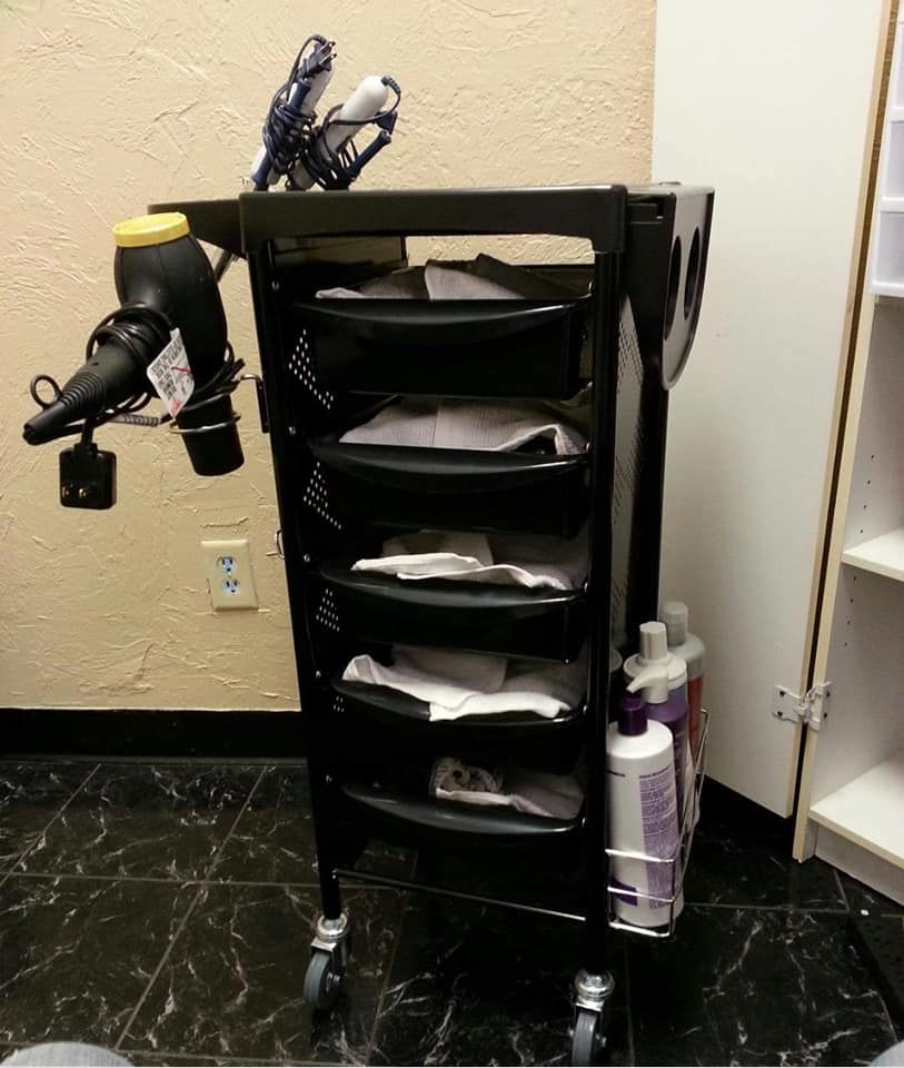 Salon Trolley