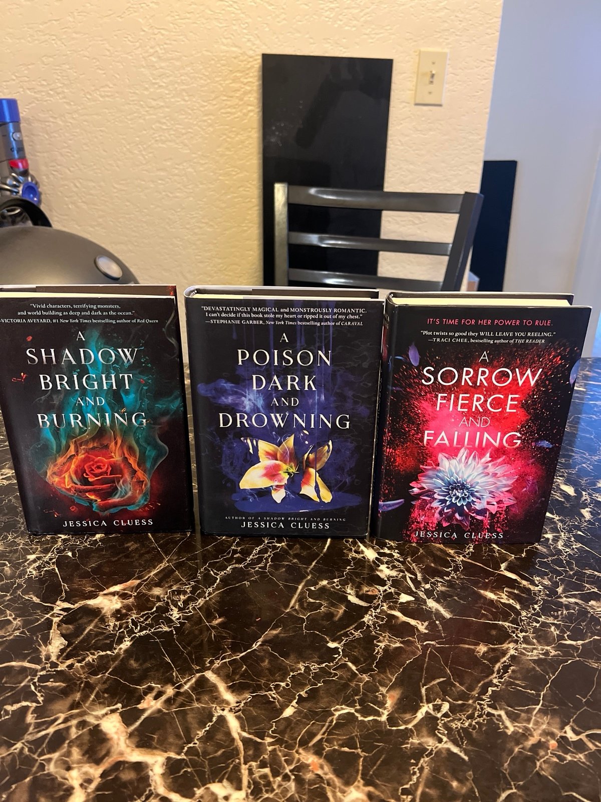 Kingdom on Fire Series by Jessica Cluess