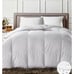 Charter club down comforter