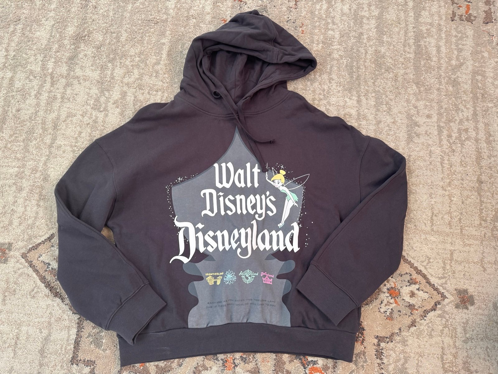 NEW Disneyland Hoodie