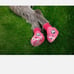 Dog Crocs Dragonfruit Pink Size Small New In Box Dog Shoes