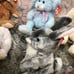 TY Beanie Babies Lot of 12 Different Bunnies With Tags!