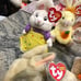 TY Beanie Babies Lot of 12 Different Bunnies With Tags!