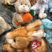 TY Beanie Babies Lot of 12 Different Bunnies With Tags!