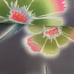 Yukata fabric.