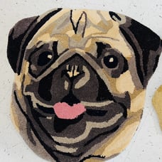 Loloi pug Face Dog Rug !