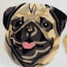 Loloi pug Face Dog Rug !