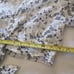 Cleobella Skirt Set Size Medium Large Cottagecore Peasant Boho Fairycore Floral