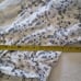 Cleobella Skirt Set Size Medium Large Cottagecore Peasant Boho Fairycore Floral