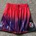 Mitchell & Ness Toronto Raptors Basketball Shorts Hardwood Classic NBA Size XL