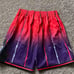 Mitchell & Ness Toronto Raptors Basketball Shorts Hardwood Classic NBA Size XL
