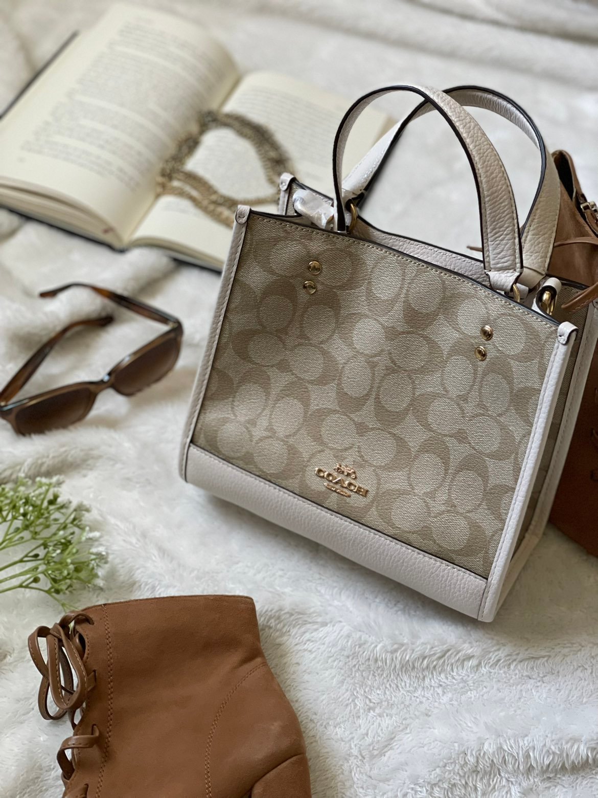 Coach signature dempsey tote 22