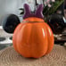 Disney Minnie Mouse Halloween Pumpkin Cookie/Canister Jar 2023 B -HLN003