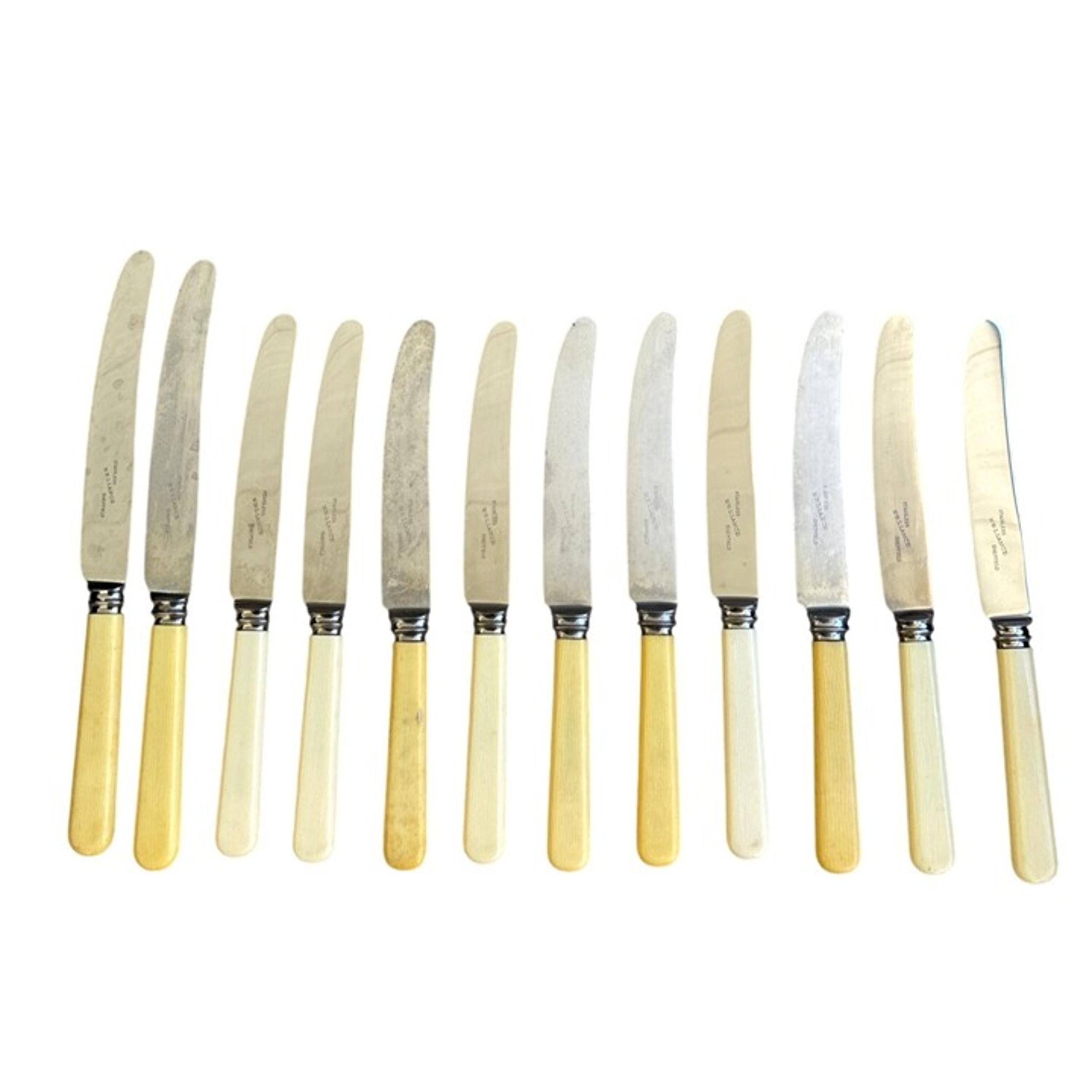 Frank & Co Sheffield England Reliance Knives Stanless Steel Cutlery Celluloid