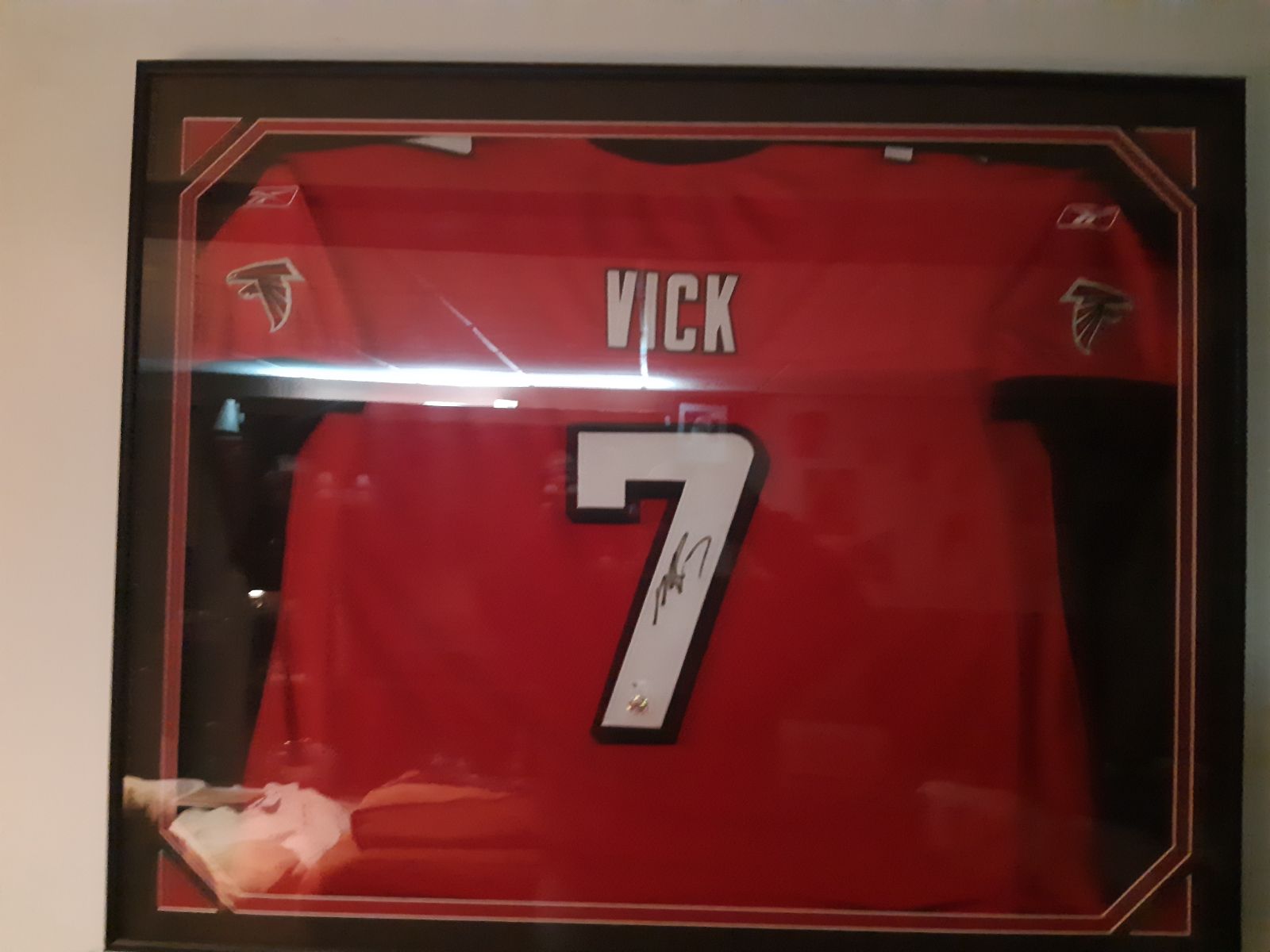 Michael Vick Autographed Football Jersey