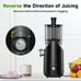 Cold Press Juicer