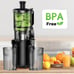 Cold Press Juicer