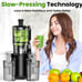 Cold Press Juicer
