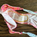 L*Space Heat Waves Bikini Set, Pamela Top & Van Damme Bottom, NWT