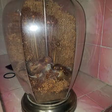 Vintage bird lamp