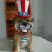 Martha Stewart Patriotic Frenchie Frenchy Dog 4th July Decor Stars Stripes NWT