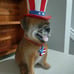 Martha Stewart Patriotic Frenchie Frenchy Dog 4th July Decor Stars Stripes NWT
