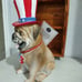 Martha Stewart Patriotic Frenchie Frenchy Dog 4th July Decor Stars Stripes NWT