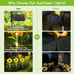 Solar Outdoor Lights Garden Decor, 4 Pack Solar Garden Lights
