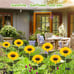 Solar Outdoor Lights Garden Decor, 4 Pack Solar Garden Lights