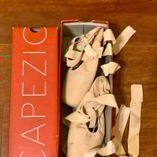 Ballet Pointe Shoes