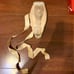 Ballet Pointe Shoes