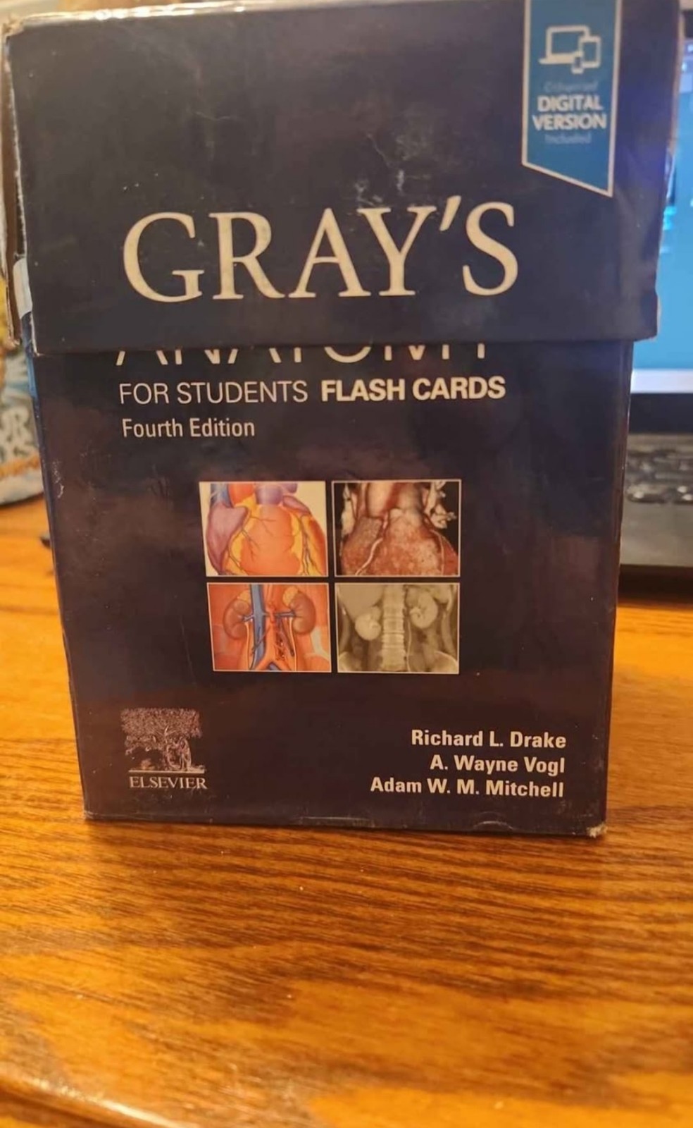 Gray's Anatomy Flashcards