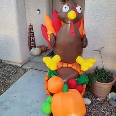 5 Ft Thanksgiving Inflatable Turkey on Cornucopia; LED Light Up Blow Up