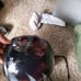 Harley-Davidson helmets