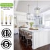 BUNKOS 1 Light Lantern Pendant Light