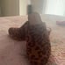 Women shoes