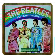 Vintage Beetles an Illistrated Record