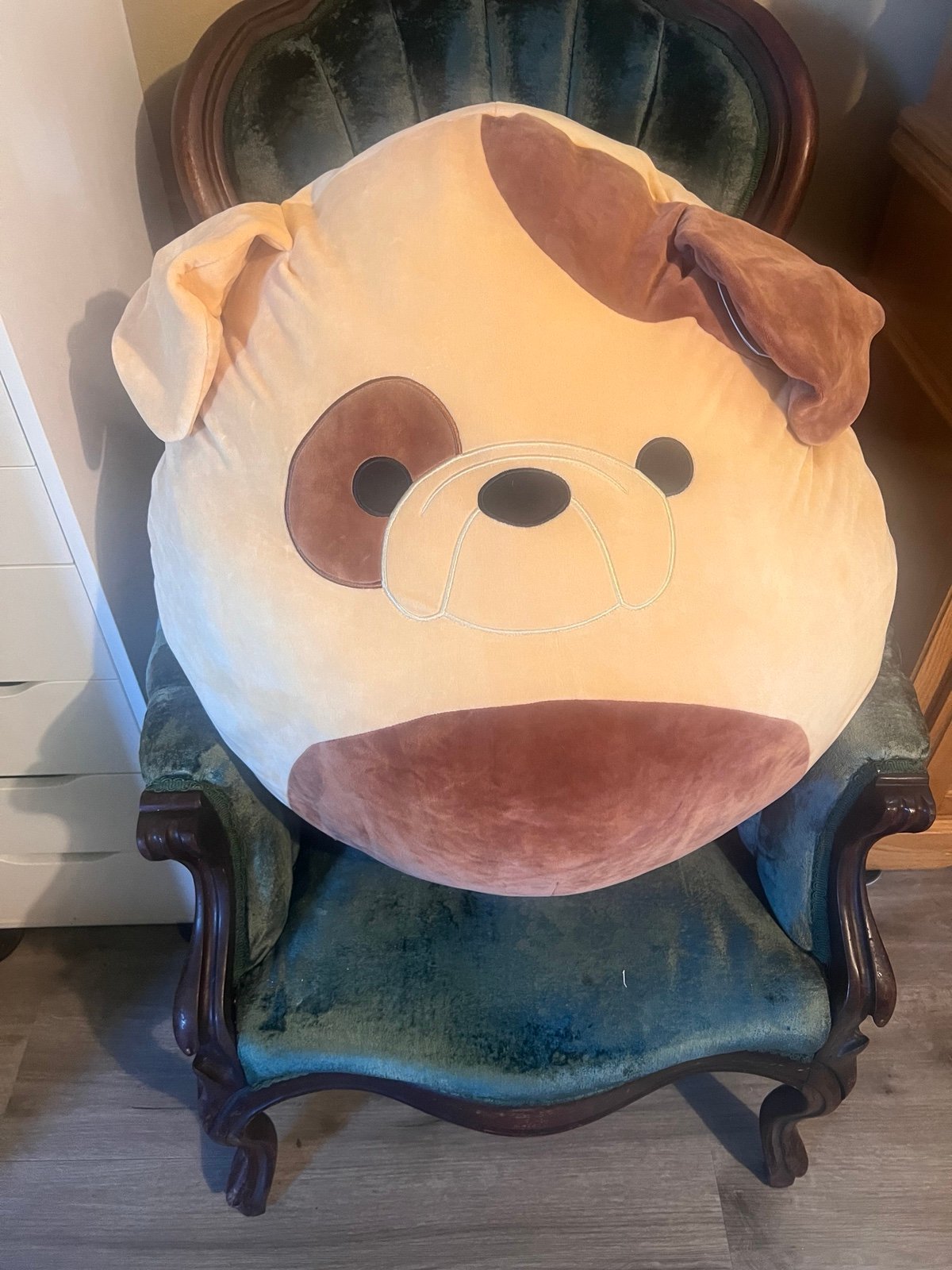 Squishmallows Griz the Bulldog 24 Stuffed Plush