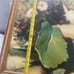 vintage oil painting