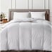 Charter club bedding down comforter size
