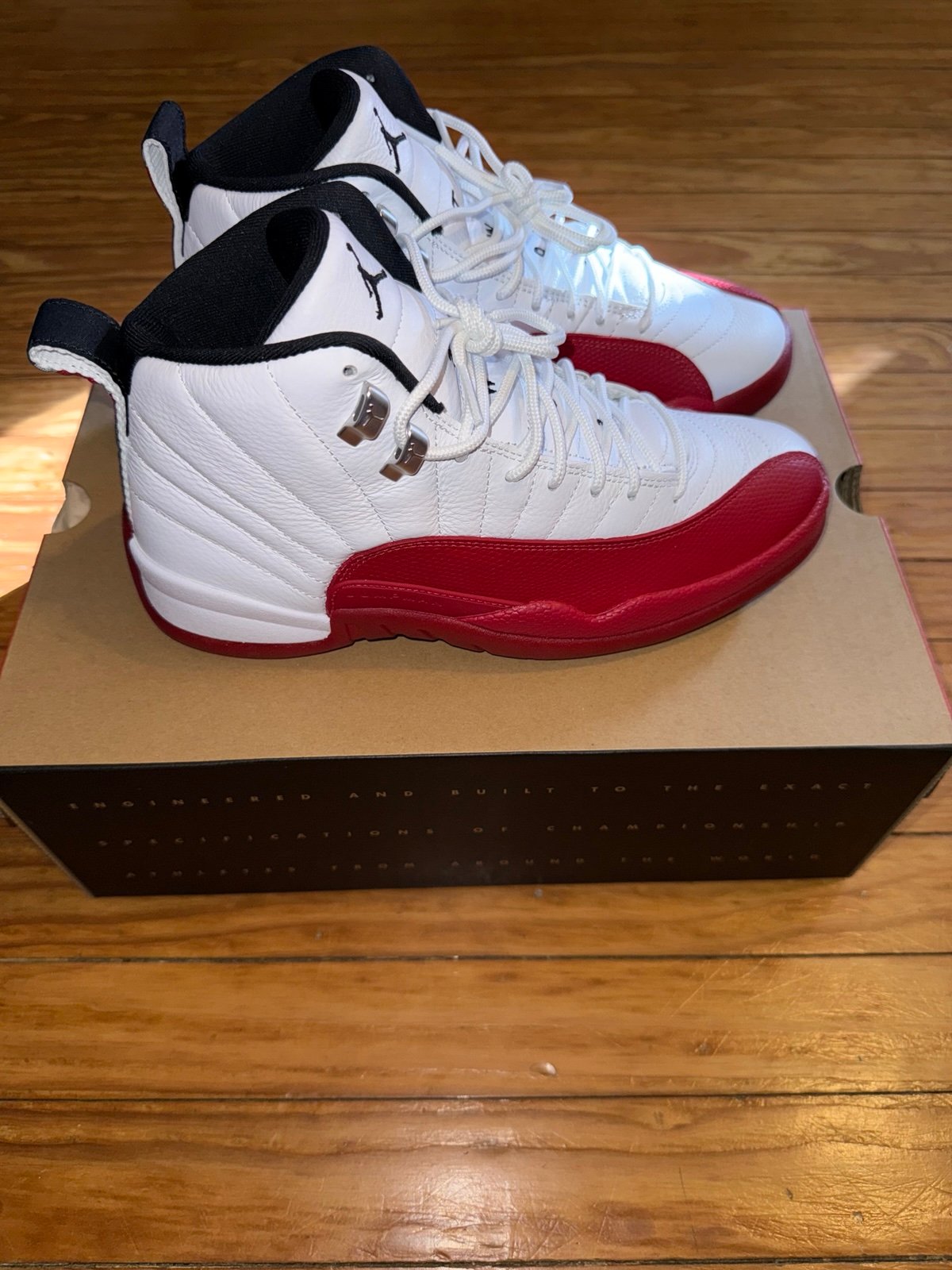 Jordan 12 Cherry
