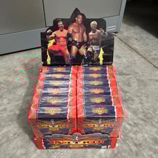 WCW Nitro Trading Card Game Case of 12x Two Player Starter Decks NEW SEALED