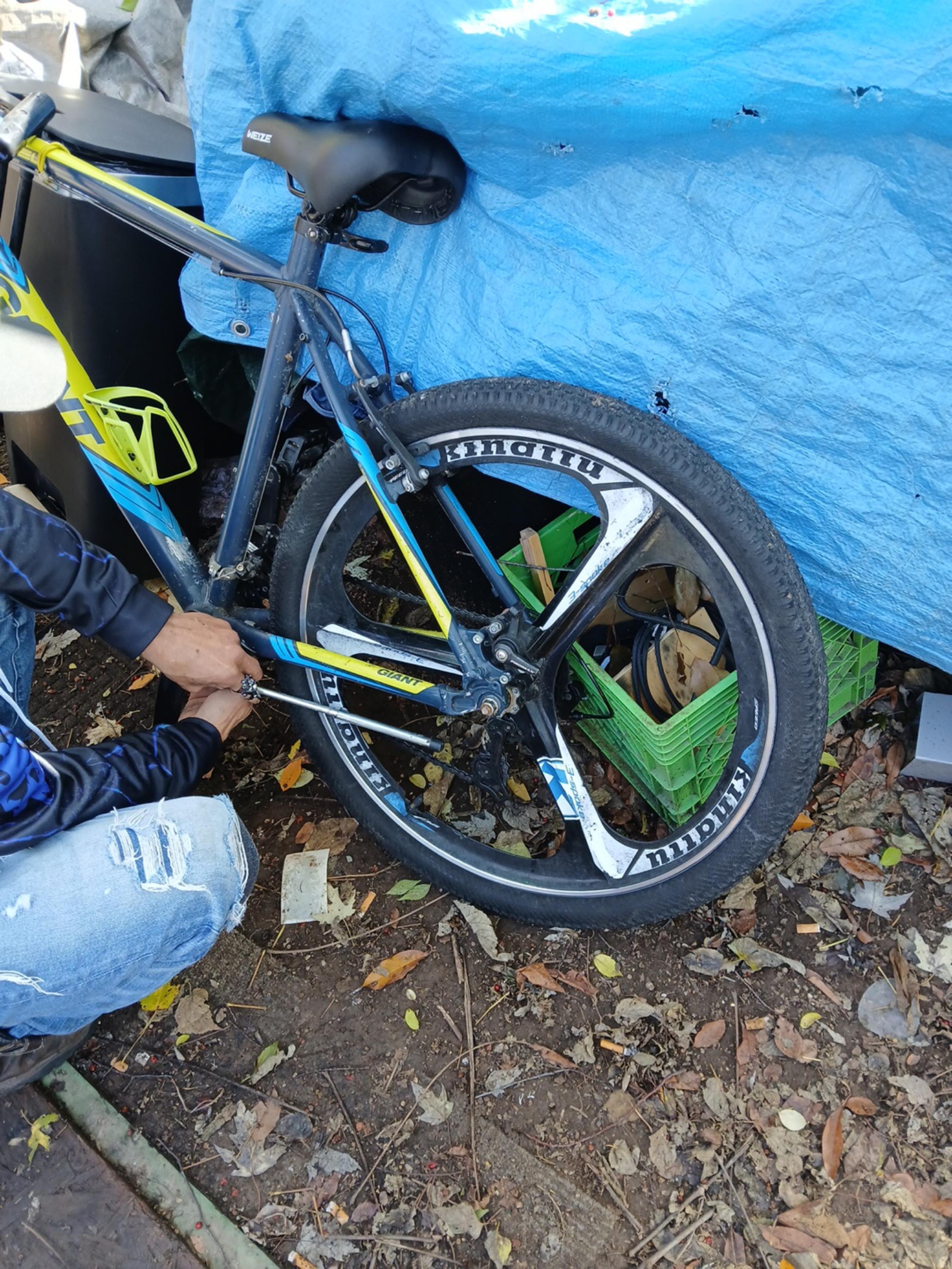 Bike giant