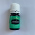 Aromaease