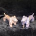 Large Ceramic Dachshund Balloon Dogs in Pink and Purple