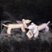 Large Ceramic Dachshund Balloon Dogs in Pink and Purple
