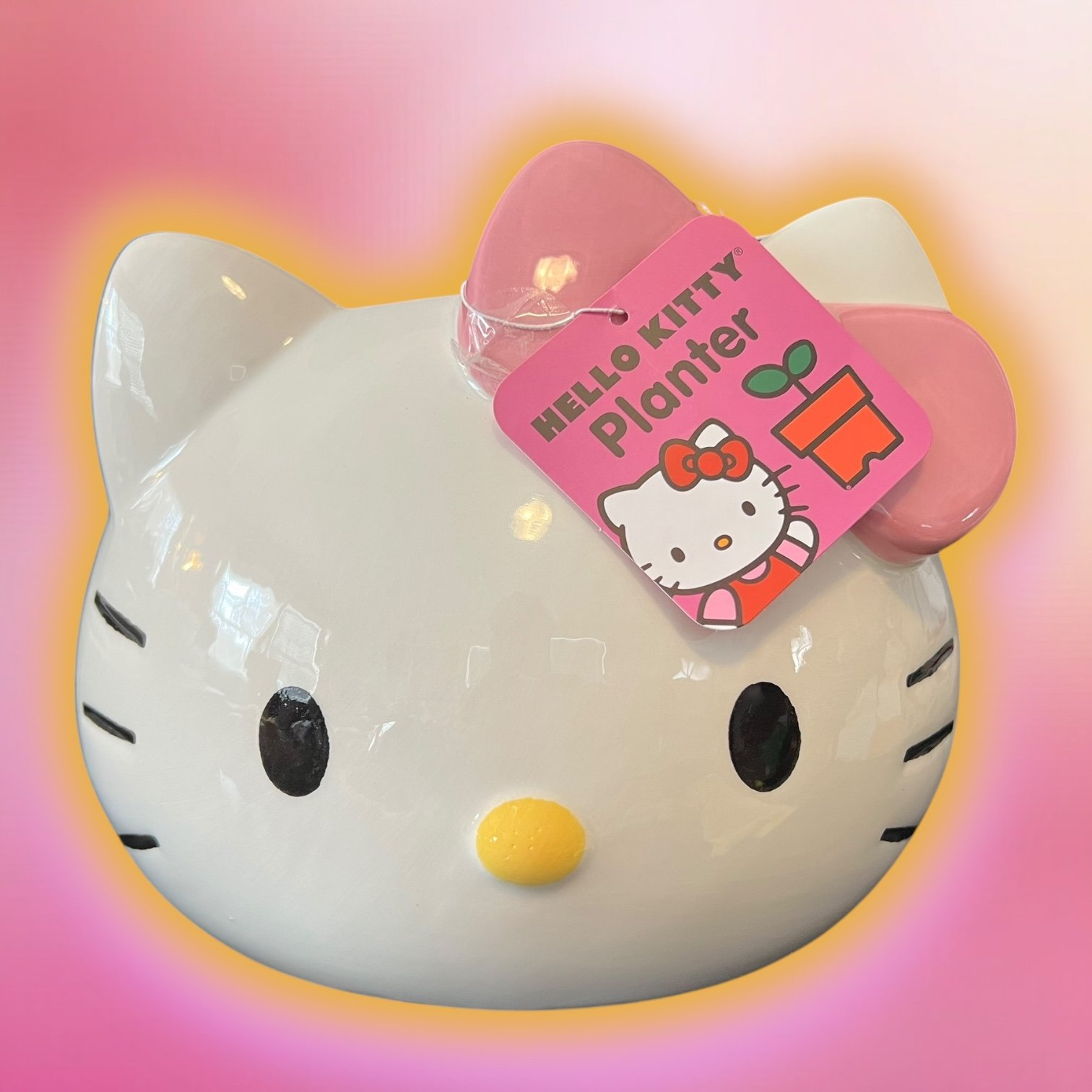 RESERVED Hello Kitty Planter