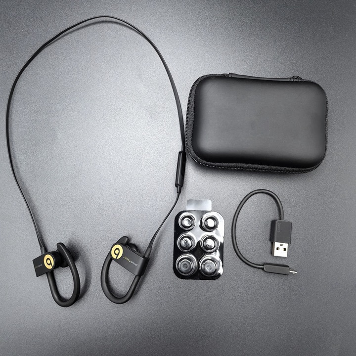 Beats by Dr. Dre Powerbeats3 Wireless Headphones In-Ear Bluetooth Earbuds Gold