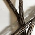 Authentic New Mexican cholla wood large pieces