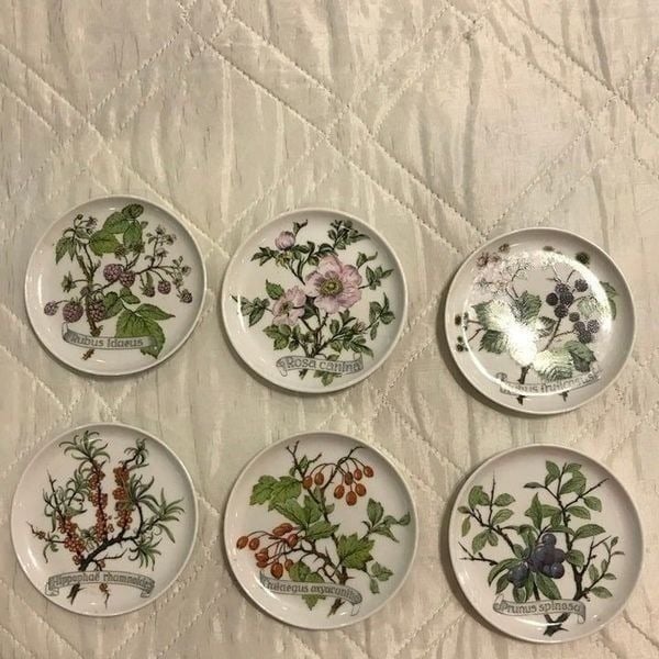 6 Kaiser W. Germany Floral Mini 4 Plate/coaster